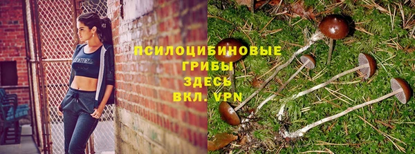 дурь Беломорск