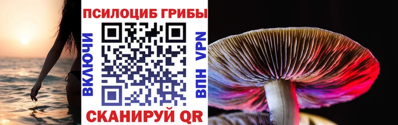 Галлюциногенные грибы мухоморы  Дубна 
